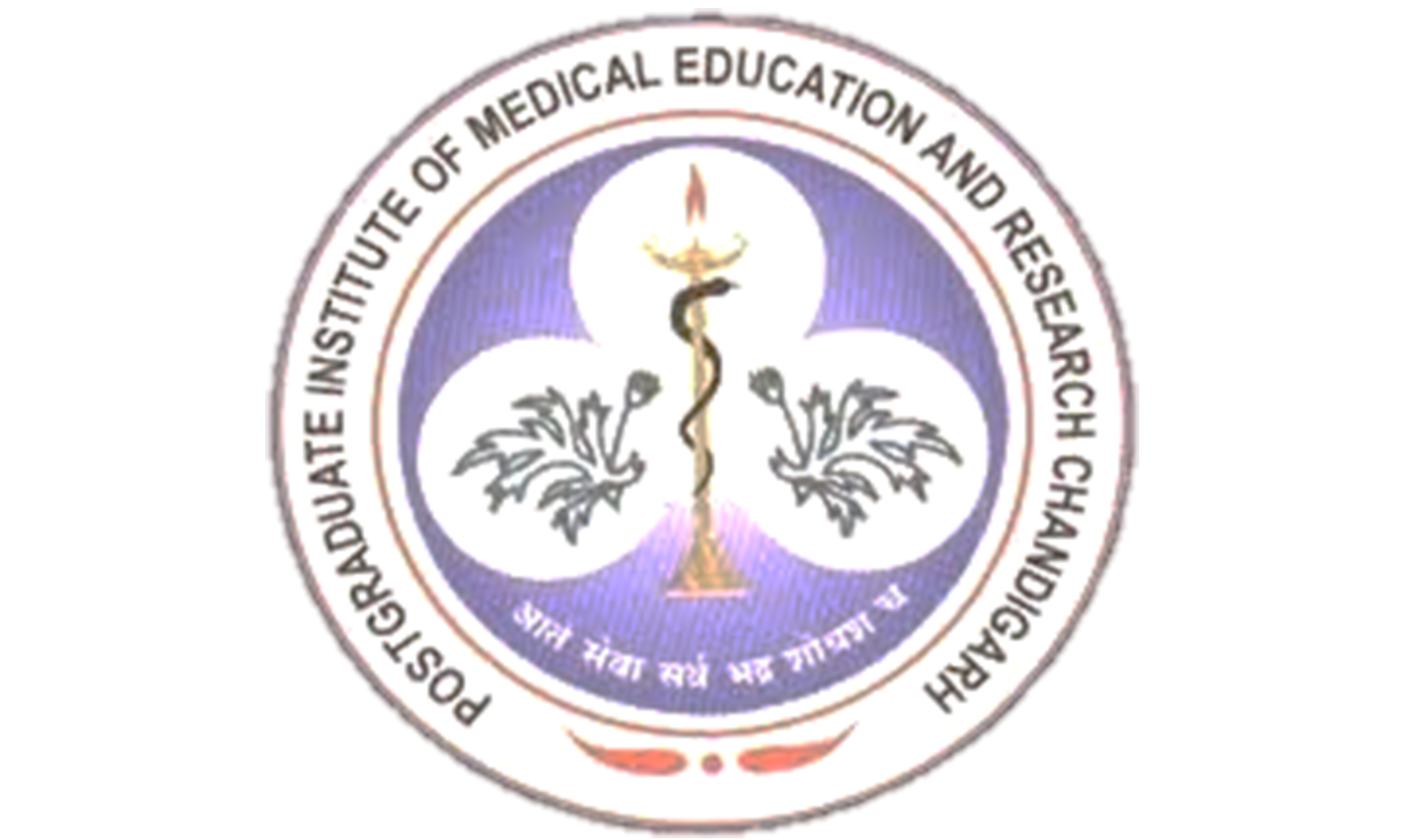 university